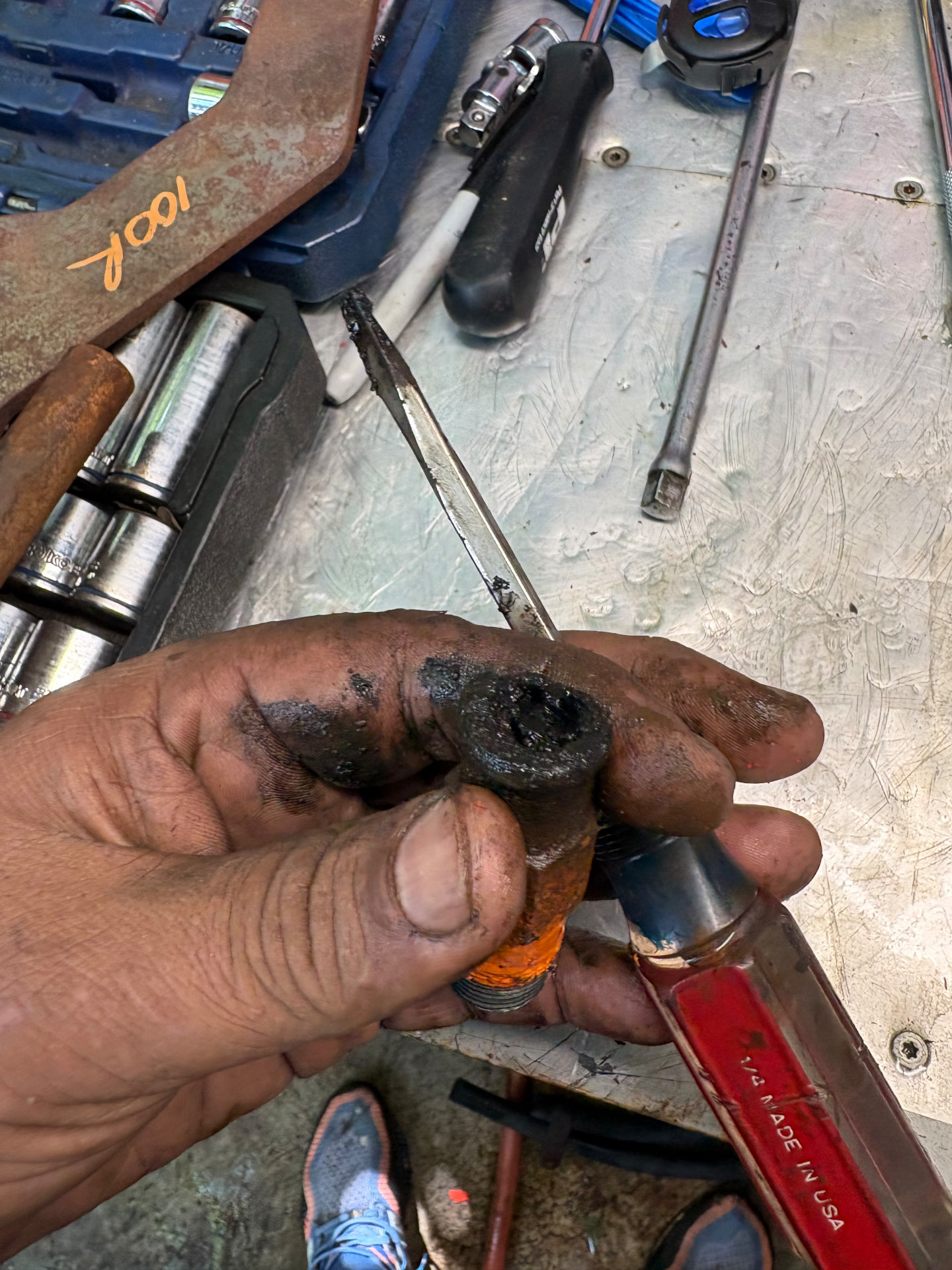 Mechanic's hand holding a soiled component and screwdriver during a repair
